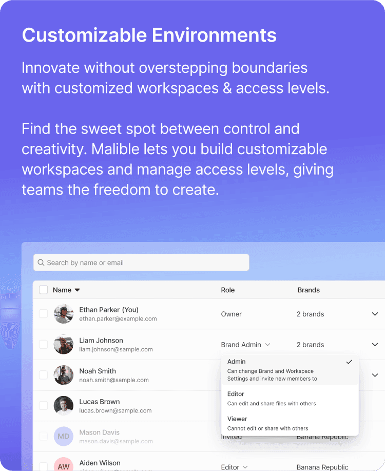 Malible CMS customizable environments and workspace settings